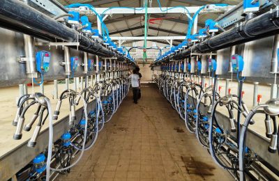 תמונה ללא תיאור