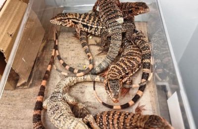 תמונה ללא תיאור